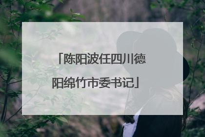 陈阳波任四川德阳绵竹市委书记