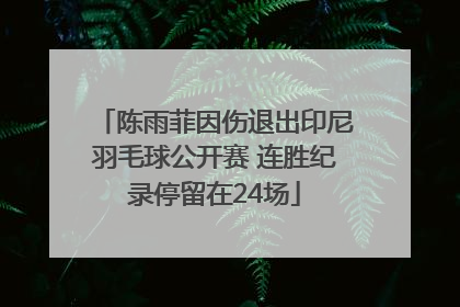 陈雨菲因伤退出印尼羽毛球公开赛 连胜纪录停留在24场