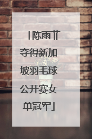 陈雨菲夺得新加坡羽毛球公开赛女单冠军