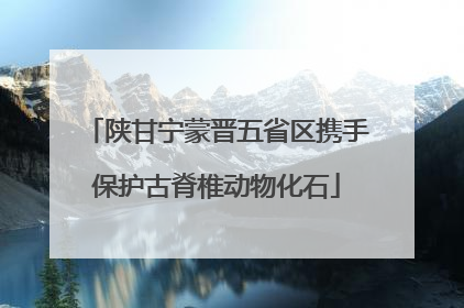 陕甘宁蒙晋五省区携手保护古脊椎动物化石