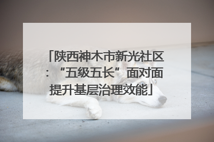 陕西神木市新光社区：“五级五长”面对面 提升基层治理效能