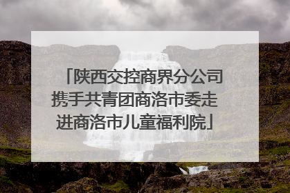 陕西交控商界分公司携手共青团商洛市委走进商洛市儿童福利院