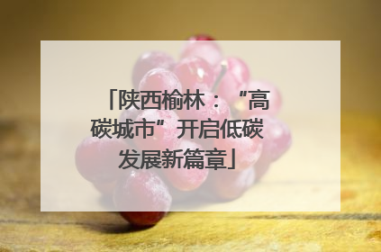 陕西榆林：“高碳城市”开启低碳发展新篇章