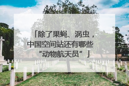除了果蝇、涡虫，中国空间站还有哪些“动物航天员”