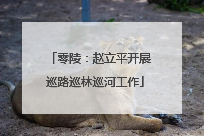 零陵：赵立平开展巡路巡林巡河工作