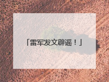 雷军发文辟谣！