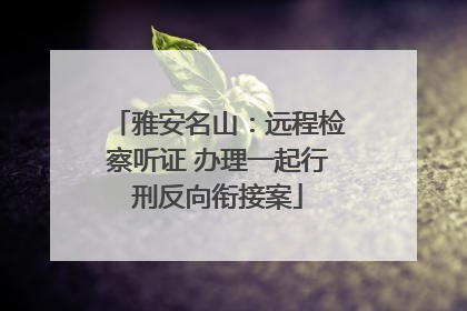 雅安名山：远程检察听证 办理一起行刑反向衔接案