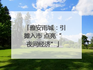 雅安雨城：引摊入市 点亮“夜间经济”