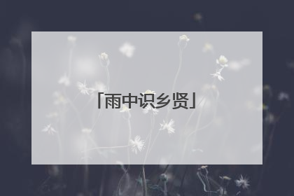 雨中识乡贤