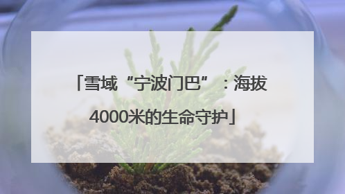 雪域“宁波门巴”：海拔4000米的生命守护