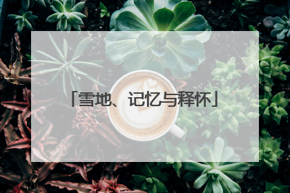 雪地、记忆与释怀