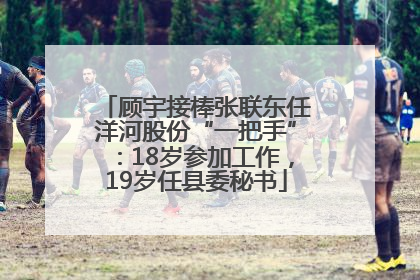 顾宇接棒张联东任洋河股份“一把手”：18岁参加工作，19岁任县委秘书