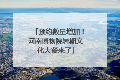 预约数量增加！河南博物院暑期文化大餐来了