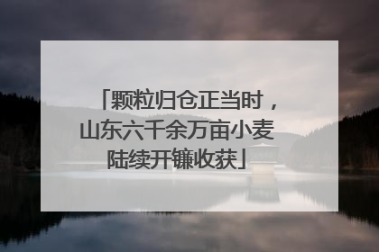 颗粒归仓正当时，山东六千余万亩小麦陆续开镰收获