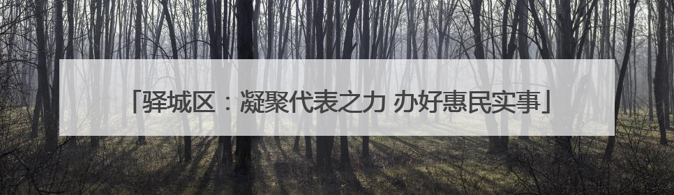 驿城区：凝聚代表之力 办好惠民实事