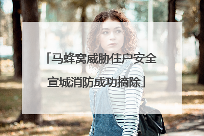 马蜂窝威胁住户安全 宣城消防成功摘除