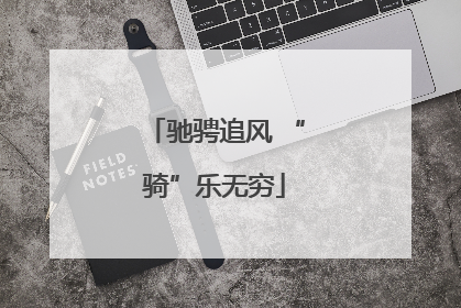 驰骋追风 “骑”乐无穷