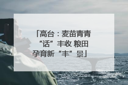 高台：麦苗青青“话”丰收 粮田孕育新“丰”景