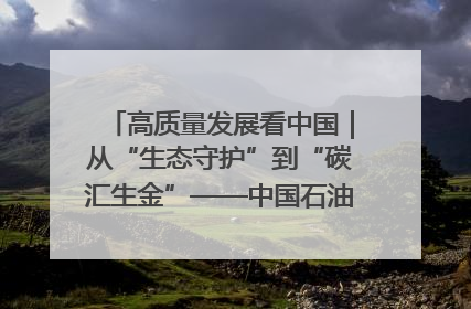 高质量发展看中国｜从“生态守护”到“碳汇生金”——中国石油大庆油田绿色蝶变