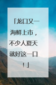 龙口又一海鲜上市，不少人夏天就好这一口！