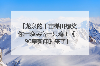 龙泉的千亩梯田想奖你一晚民宿一只鸡！《90早新闻》来了