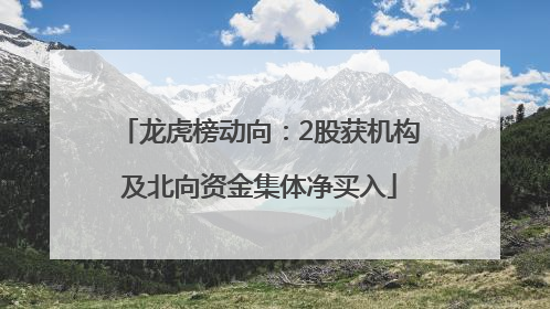 龙虎榜动向：2股获机构及北向资金集体净买入
