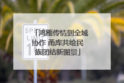 鸿雁传情到全域协作 甬库共绘民族团结新图景