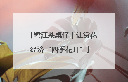 鹭江茶桌仔｜让赏花经济“四季花开”