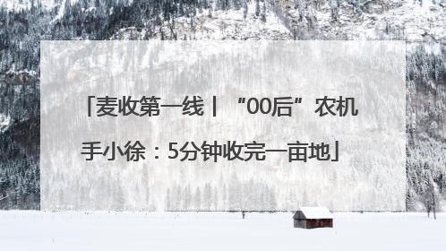 麦收第一线丨“00后”农机手小徐：5分钟收完一亩地