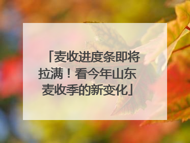 麦收进度条即将拉满！看今年山东麦收季的新变化