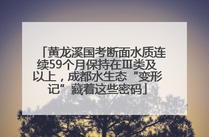 黄龙溪国考断面水质连续59个月保持在Ⅲ类及以上，成都水生态“变形记”藏着这些密码