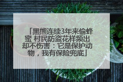 黑熊连续3年来偷蜂蜜 村民防盗花样频出却不伤害：它是保护动物，我有保险兜底