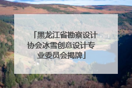 黑龙江省勘察设计协会冰雪创意设计专业委员会揭牌