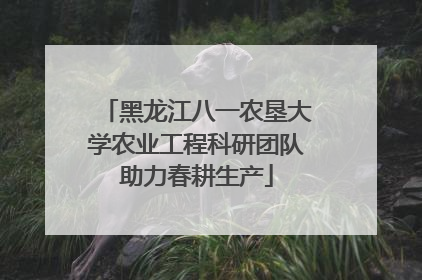 黑龙江八一农垦大学农业工程科研团队助力春耕生产