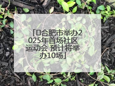 ﻿合肥市举办2025年首场社区运动会 预计将举办10场