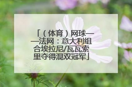 （体育）网球——法网：意大利组合埃拉尼/瓦瓦索里夺得混双冠军