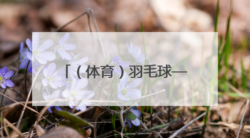 （体育）羽毛球——印尼公开赛：石宇奇无缘男单决赛