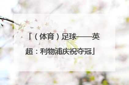（体育）足球——英超：利物浦庆祝夺冠