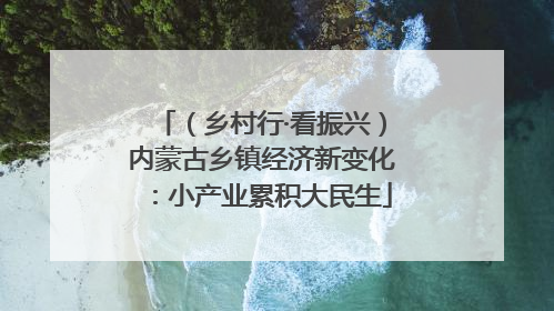 （乡村行·看振兴）内蒙古乡镇经济新变化：小产业累积大民生