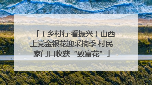 （乡村行·看振兴）山西上党金银花迎采摘季 村民家门口收获“致富花”