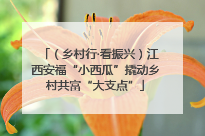 （乡村行·看振兴）江西安福“小西瓜”撬动乡村共富“大支点”