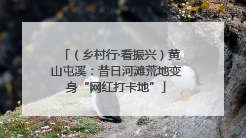 （乡村行·看振兴）黄山屯溪：昔日河滩荒地变身“网红打卡地”