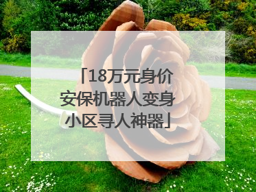 18万元身价安保机器人变身小区寻人神器