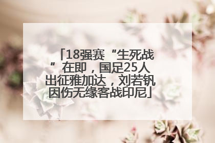 18强赛“生死战”在即，国足25人出征雅加达，刘若钒因伤无缘客战印尼