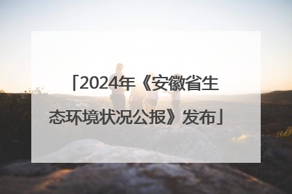 2024年《安徽省生态环境状况公报》发布