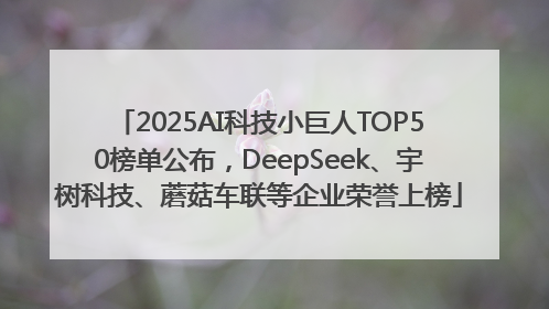 2025AI科技小巨人TOP50榜单公布，DeepSeek、宇树科技、蘑菇车联等企业荣誉上榜