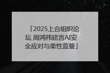 2025上合组织论坛 周鸿祎建言AI安全应对与柔性监管
