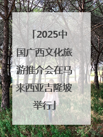 2025中国广西文化旅游推介会在马来西亚吉隆坡举行