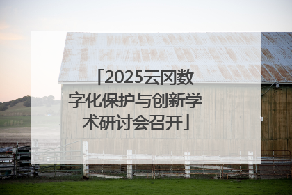 2025云冈数字化保护与创新学术研讨会召开