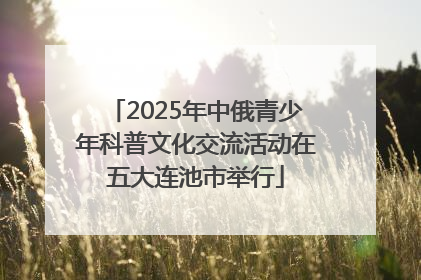 2025年中俄青少年科普文化交流活动在五大连池市举行